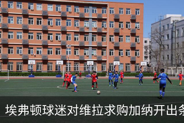 埃弗顿球迷对维拉求购加纳开出条件：拿1亿英镑来换中场数据王